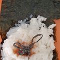 カクヨ's cooksnap of when they made しらたきたっぷりご飯でおにぎりバーガー.