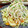 Superlittleboo's cooksnap of when they made シャキシャキもやしの野菜炒め.
