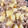 y_u♡'s cooksnap of when they made ジャガイモと玉ねぎの煮物.