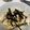 tomome's cooksnap of when they made 簡単！袋でもみもみ塩昆布キャベツ.