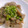 ｊ爺ｊ's cooksnap of when they made こんにゃく ネギ味噌炒め.