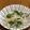 QPはにー's cooksnap of when they made レンジで簡単！もやしとニラのナムル.