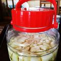 みえこっこちゃん's cooksnap of when they made 簡単　らっきょう甘酢漬け（カリカリ！）.