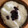 ほもい's cooksnap of when they made 口当たり抜群！桑の実ジャム.