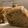 shizuku＠姫's cooksnap of when they made 紅茶のシフォンケーキ20cm.