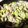 クックmichi☆♪'s cooksnap of when they made そら豆そぼろ保存☆.