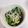 smilechip's cooksnap of when they made ほうれん草としらすの和え物.