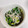 smilechip's cooksnap of when they made ほうれん草としらすの和え物.