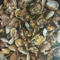 ♡ルヴァ♡'s cooksnap of when they made 超簡単 あさりの酒蒸し.