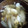 ゆずカフェ's cooksnap of when they made みょうがの卵とじ汁.