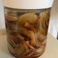 食いしん坊うぃる's cooksnap of when they made 新玉ねぎの黒酢マリネ.