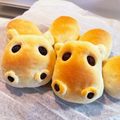 ありみりん♡'s cooksnap of when they made はさんで楽しい♪カバのコッペパン.