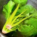 ゆづキッチン's cooksnap of when they made 多量のホウレンソウの茹で方.