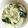 クックGB6431☆'s cooksnap of when they made サバ味噌缶でつくるサラダ.