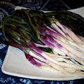 カナティーヌ's cooksnap of when they made 日野菜は 塩1本漬け♪.