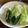0720まま's cooksnap of when they made 塩もみ野菜の爽やかレモンサラダ。.