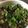 クック78R779☆'s cooksnap of when they made ナスのエスニックサラダ.