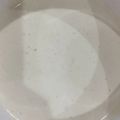 ベル☆★☆'s cooksnap of when they made シーザードレッシング.