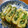 クックZTZ10H☆'s cooksnap of when they made ほうれん草入り！出し巻き卵♪.