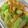 minoriloca's cooksnap of when they made 台湾家庭料理☆キャベツの漬物☆.