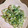 KUUUUUUMIN's cooksnap of when they made 今が旬の筍とほうれん草の白あえ^ ^.
