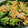 ジョンリークッカー's cooksnap of when they made ふわふわ卵とブロッコリーのマヨ炒め.