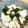 クックZBCLXA☆'s cooksnap of when they made さっぱりしたい時に！長芋とわかめの梅和え.