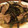 sakikoママ's cooksnap of when they made わらびと豚肉のにんにく炒め.