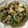 クックmichi☆♪'s cooksnap of when they made そら豆と厚揚げのそぼろ餡掛け☆.