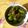 kokoli's cooksnap of when they made 【簡単おつまみ】ししとうの甘辛炒め.
