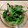 おたもぎ's cooksnap of when they made 小松菜と舞茸のピリ辛おひたし.
