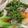 クックJWLD9G☆'s cooksnap of when they made 疲労回復に！ポークステーキの温野菜サラダ.