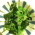 クックGB6431☆'s cooksnap of when they made 簡単！ダイエットにも♪ダブルしそワカメ.