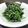 みほー。's cooksnap of when they made 材料4つ。シンプルなほうれん草の胡麻和え.