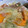 クックQ51Z5P☆'s cooksnap of when they made 新玉ねぎと新人参の煮込み.
