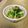Nappuu's cooksnap of when they made きのこのサワークリーム煮.