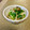 Nappuu's cooksnap of when they made きのこのサワークリーム煮.