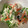 潤々２'s cooksnap of when they made 時短やみつき！ほうれん草の白和え.
