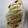 しろかっちゃん's cooksnap of when they made 超簡単！とんぺい焼き！お酒のともに。.