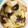 猫のミイヤ's cooksnap of when they made ☆カブとナスの煮浸し☆.