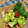 2880naaao's cooksnap of when they made 簡単アボカドの胡麻和え.
