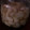 クック5ZX0E4☆'s cooksnap of when they made らっきょう漬け＆手作りらっきょう酢.