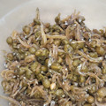 ささささ＆＊'s cooksnap of when they made ちりめんじゃこと山椒の実の佃煮.