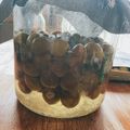 みてみてー！'s cooksnap of when they made りんご酢で梅サワー.