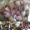 うたかた。's cooksnap of when they made ニンニクの冷凍保存方法.