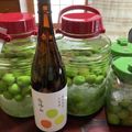 いさかこ's cooksnap of when they made ご用心！でも日本酒で美味い梅酒つくろう！.