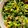 coto♪♪♪'s cooksnap of when they made いんげんのソテー　給食.