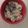 カクヨ's cooksnap of when they made ビビンバ風！炒飯！.