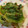たまゴン♪'s cooksnap of when they made レタスのオイスターソース炒め.