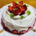 クックUT54HH☆'s cooksnap of when they made 冷蔵庫でもふわふわスポンジケーキ.